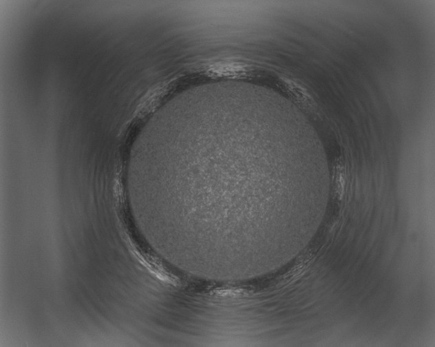 X0000054460408200508011507