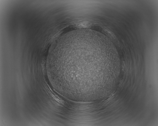 X0000054460409200508011507