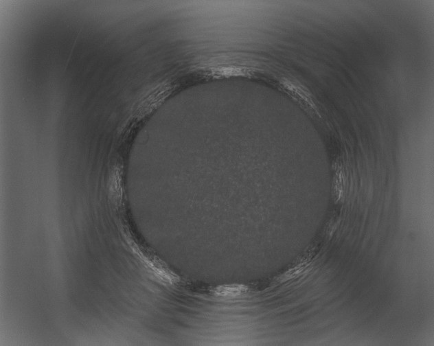 X0000054460410200508011507