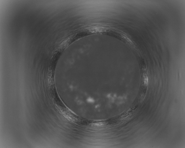 X0000054460411200508011507