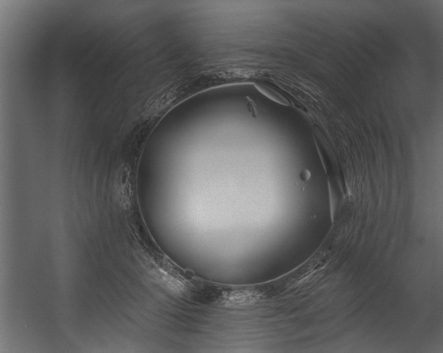 X0000054460414200508011507