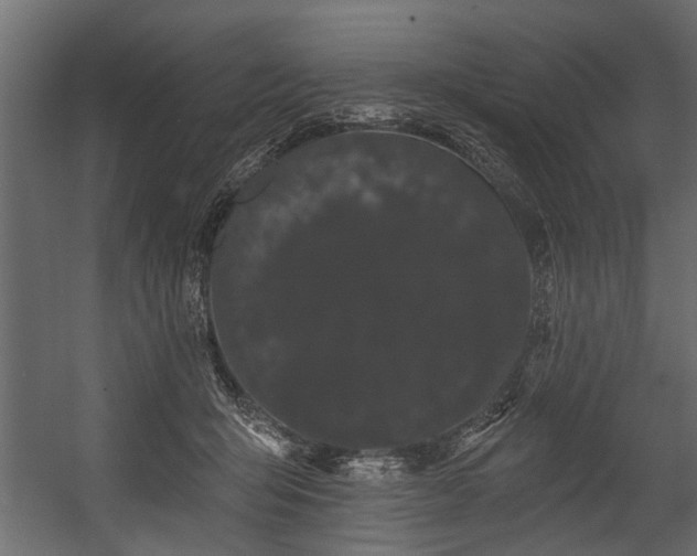 X0000054460415200508011507