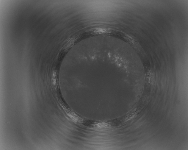 X0000054460423200508011506