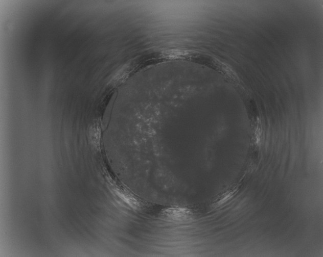 X0000054460427200508011506