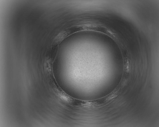 X0000054460430200508011506