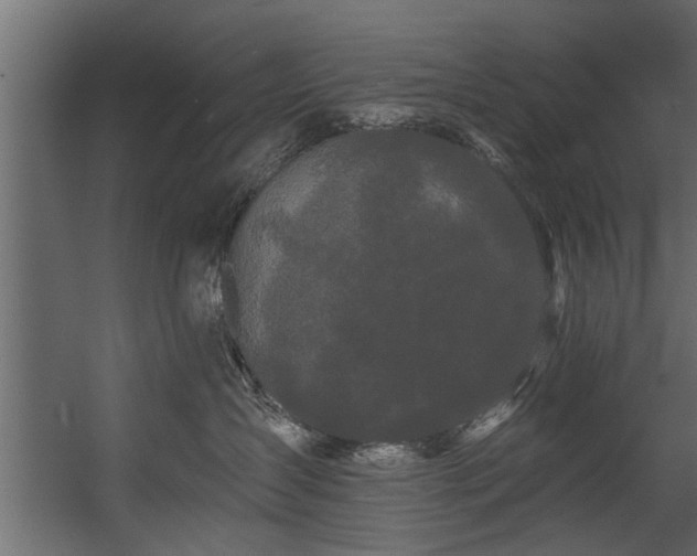 X0000054460431200508011506