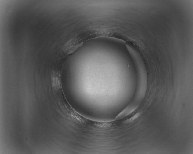 X0000054460432200508011506