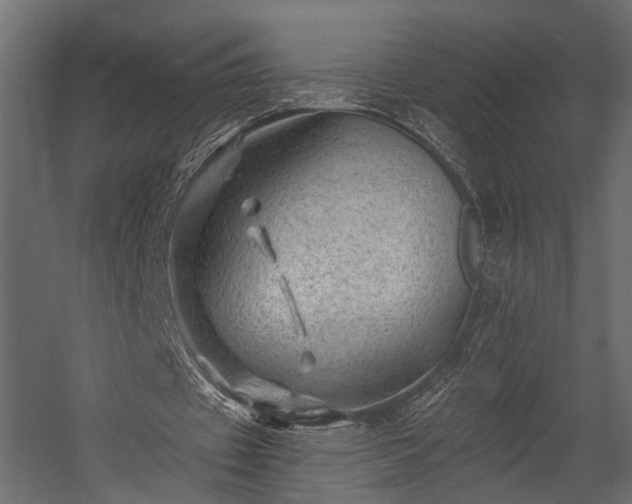 X0000054460433200508011505