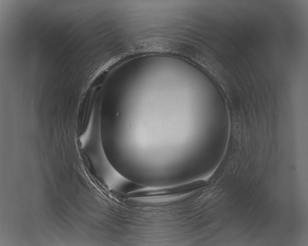 X0000054460434200508011505