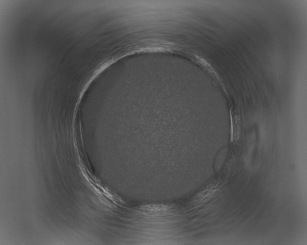 X0000054460435200508011505