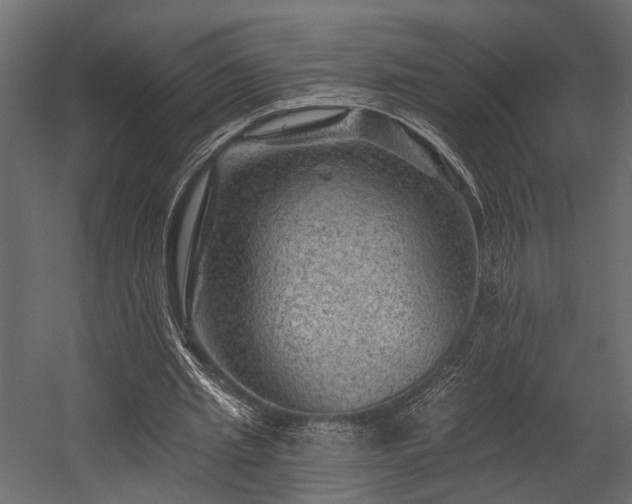 X0000054460437200508011506