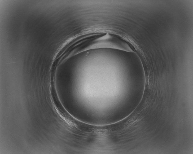 X0000054460438200508011506