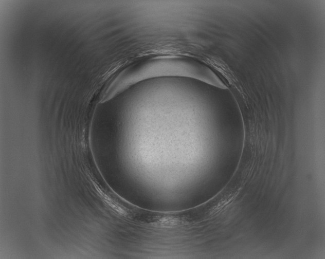 X0000054460441200508011506