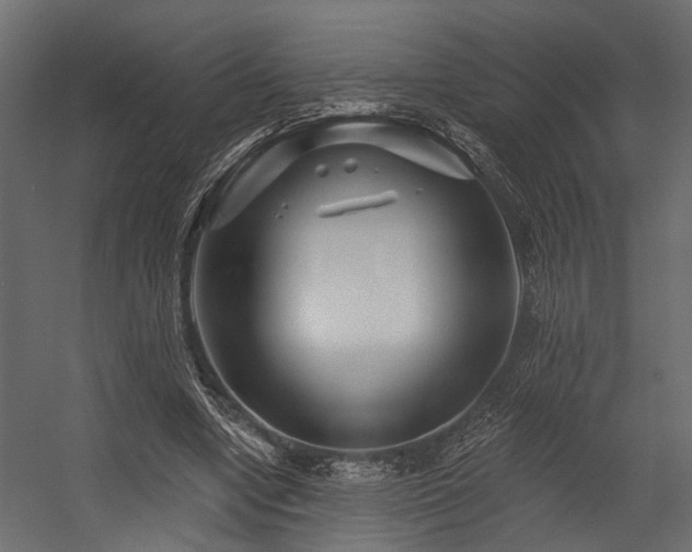 X0000054460442200508011506