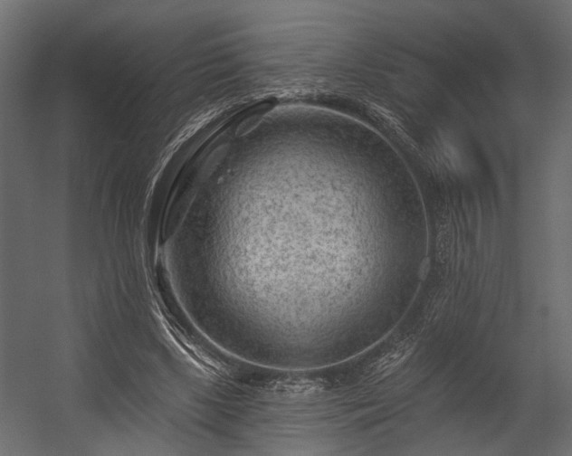 X0000054460443200508011506