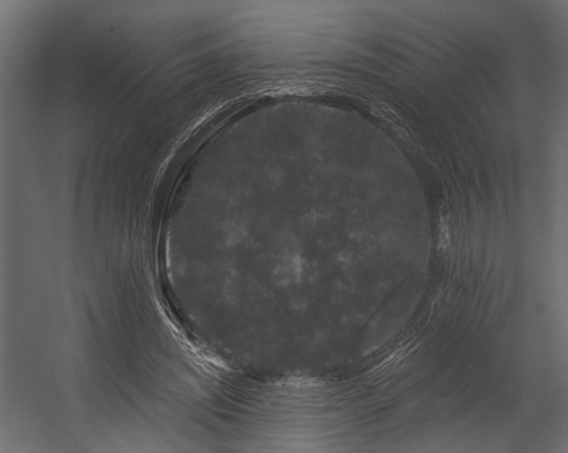 X0000054460444200508011506