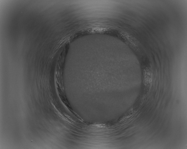 X0000054460451200508011506