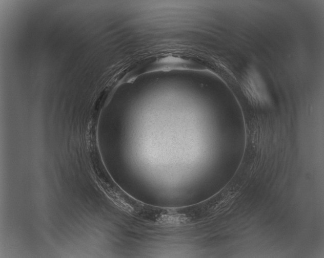 X0000054460455200508011506