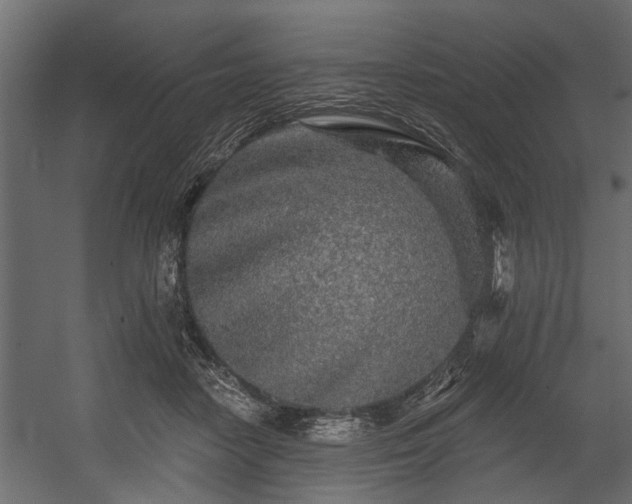 X0000054460458200508011506