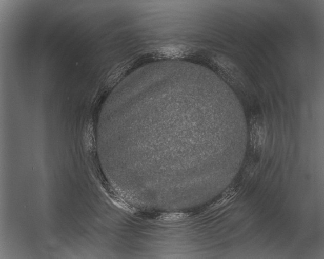 X0000054460459200508011506