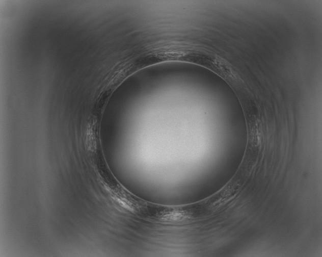 X0000054460460200508011506