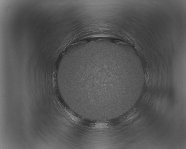 X0000054460462200508011506