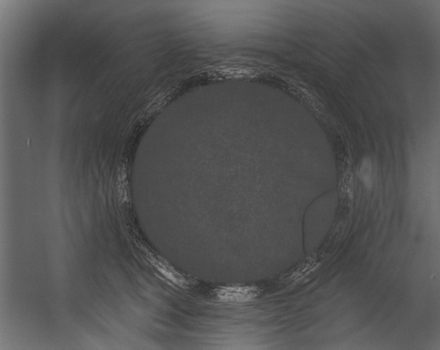 X0000054460465200508011506