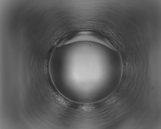 X0000054460466200508011506