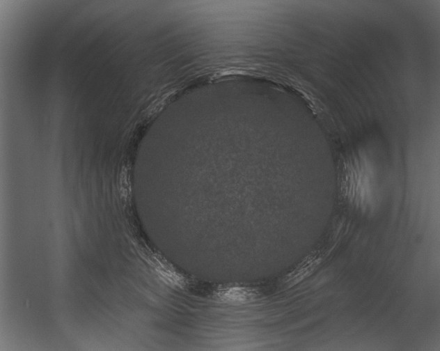 X0000054460467200508011506