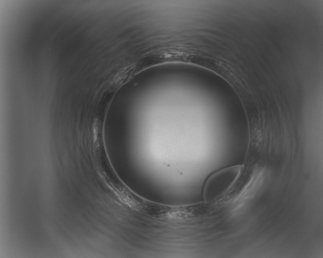 X0000054460468200508011506