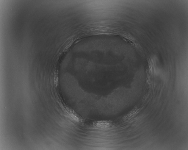 X0000054460471200508011506