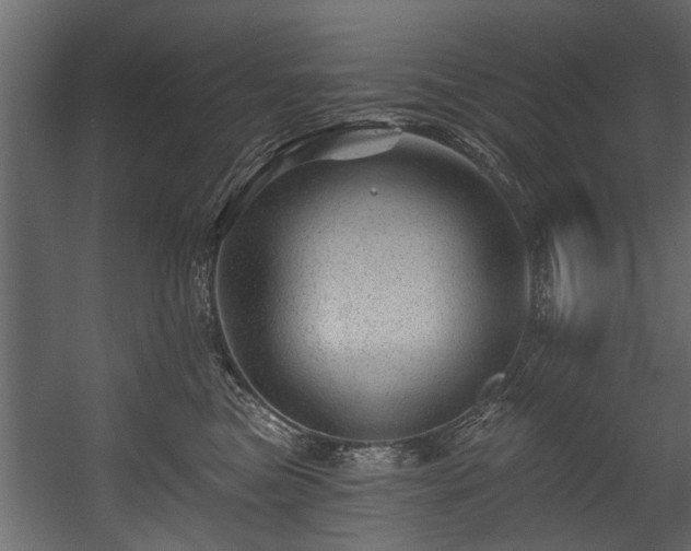 X0000054460473200508011506