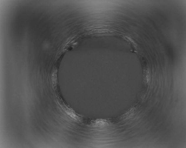 X0000054460475200508011506