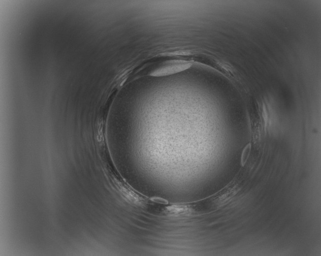 X0000054460477200508011506