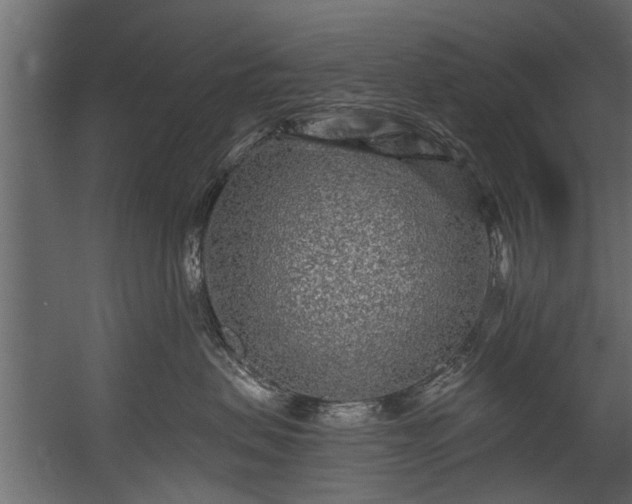 X0000054460479200508011506