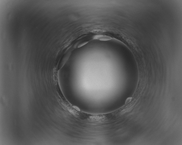 X0000054460480200508011506