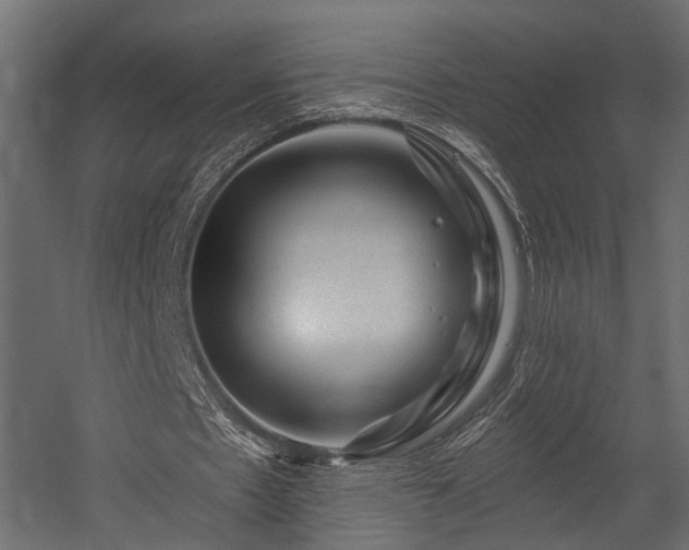 X0000054460481200508011505