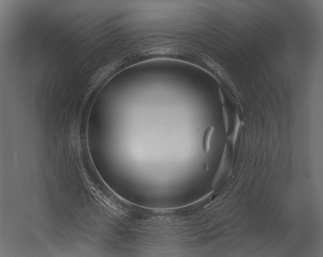 X0000054460482200508011505