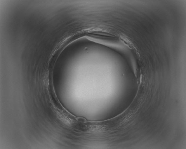 X0000054460486200508011505