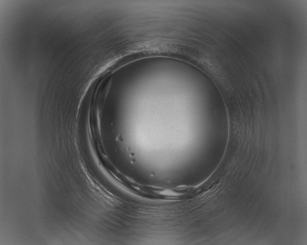 X0000054460488200508011505