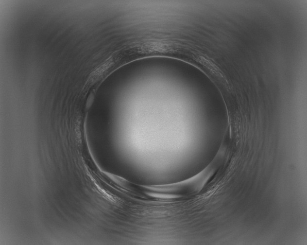 X0000054460489200508011505