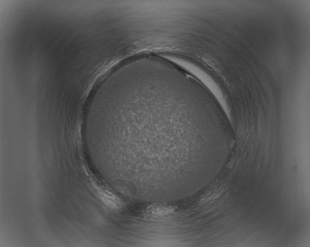 X0000054460491200508011505