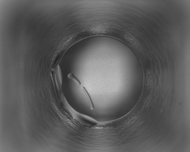 X0000054460494200508011505