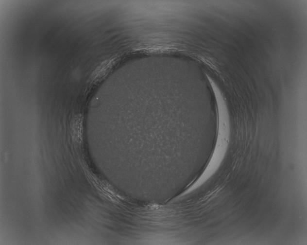 X0000054460495200508011505