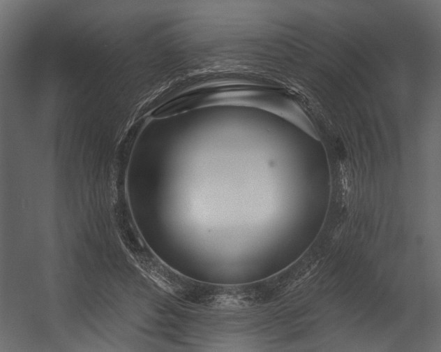 X0000054460496200508011505