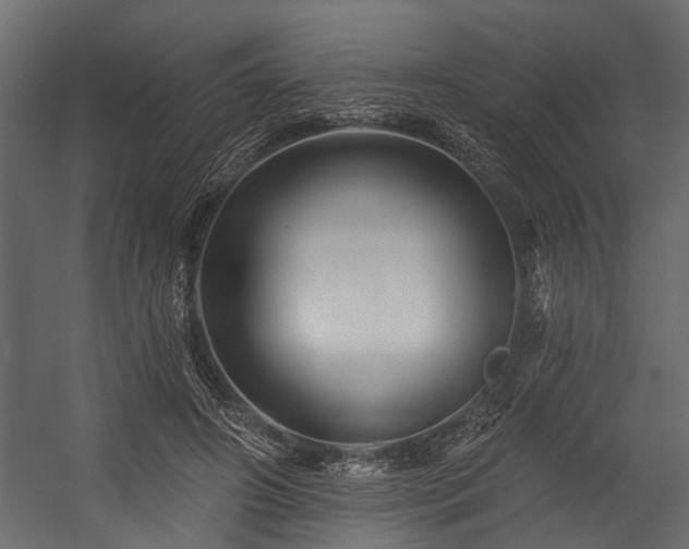 X0000054460498200508011505