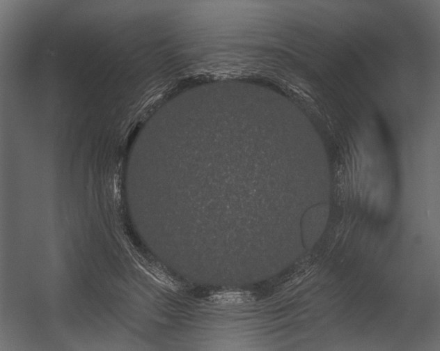 X0000054460499200508011505