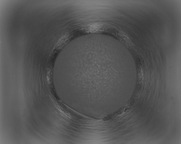 X0000054460503200508011505