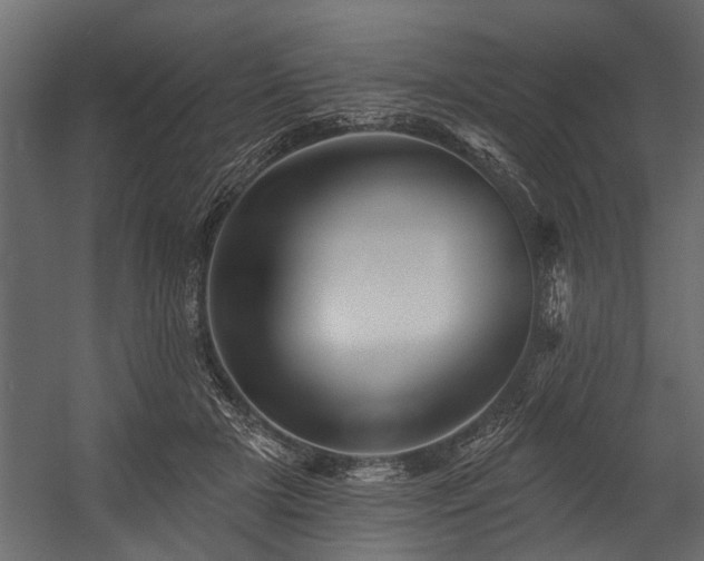 X0000054460505200508011505