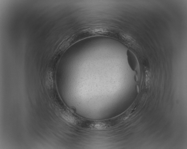 X0000054460506200508011505